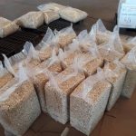 Raw Cashew Nuts - Image 3