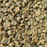 Arabica Coffee Beans - Image 4