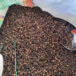 Cloves - Image 3