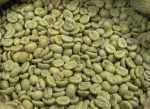Robusta Coffee Beans - Image 4