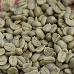 Arabica Coffee Beans - Image 3
