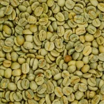Robusta Coffee Beans - Image 2