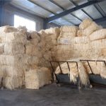 Sisal Fiber UG Grade - Image 3